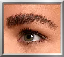 The Brow Glue After