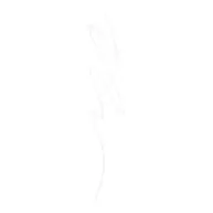 Fill And Fluff Clear Eyebrow Pomade Pencil